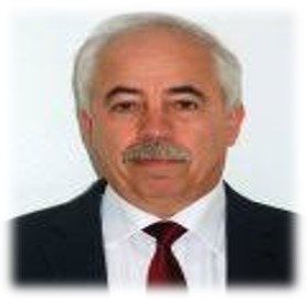 Portrait of Prof. Leonid Tartakovsky